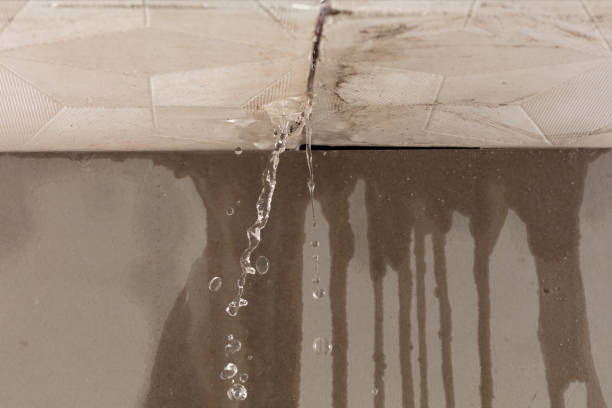 Professional Structural Drying technician working in Columbus, TX